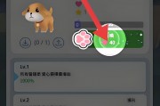 独家：星光庭院测试资格获取终极攻略，抢先体验星空治愈奇迹！