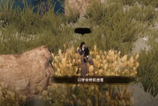下一站江湖2言者解锁秘籍：隐藏身份大，天言之力掌控江湖！