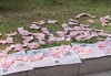 男子在绿化带晾晒大量现金