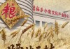 “见证新疆70年”系列微纪录片丨腰站子村硬了腰杆子