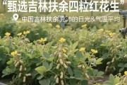 爆款翻车！良品铺子AI广告惊现“花生长树”乌龙，全网嘲讽！